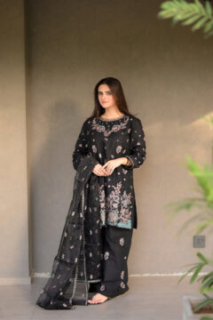 Black Naira - 3 PC Embroidered Dress